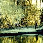 image: Image from the photoset &lsquo;st.neots park (ii)&rsquo;.