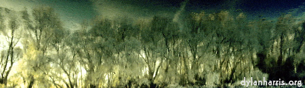 image: This is &lsquo;st.neots park (iii) 1&rsquo;.