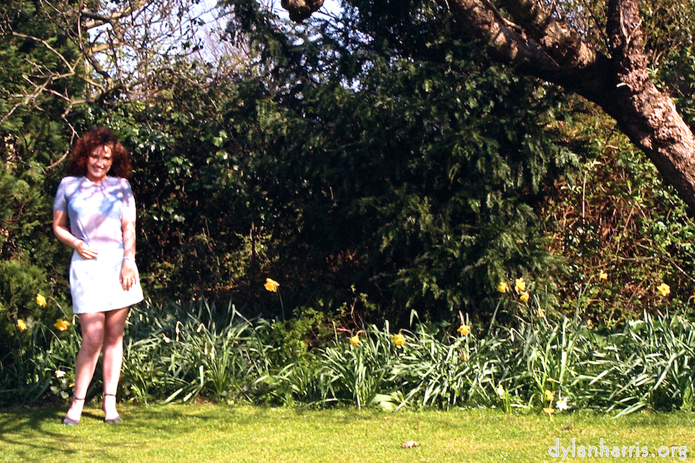 Image 'kerry (i) 2'.