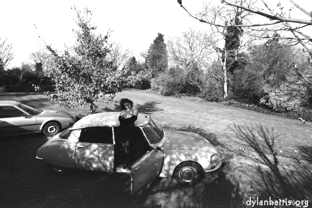 image: This is &lsquo;kerry (iii) 2&rsquo;.
