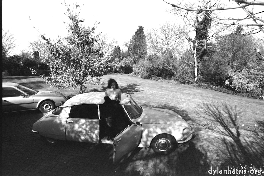 image: This is &lsquo;kerry (iii) 4&rsquo;.