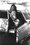 image: Image from the photoset &lsquo;kerry (iv)&rsquo;.