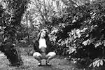 image: Image from the photoset &lsquo;kerry (v)&rsquo;.
