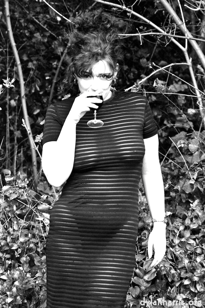 image: This is &lsquo;kerry (vi) 2&rsquo;.