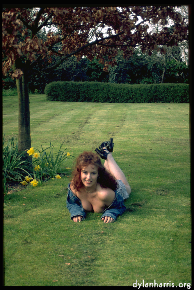 image: This is &lsquo;kerry (ix) 1&rsquo;.