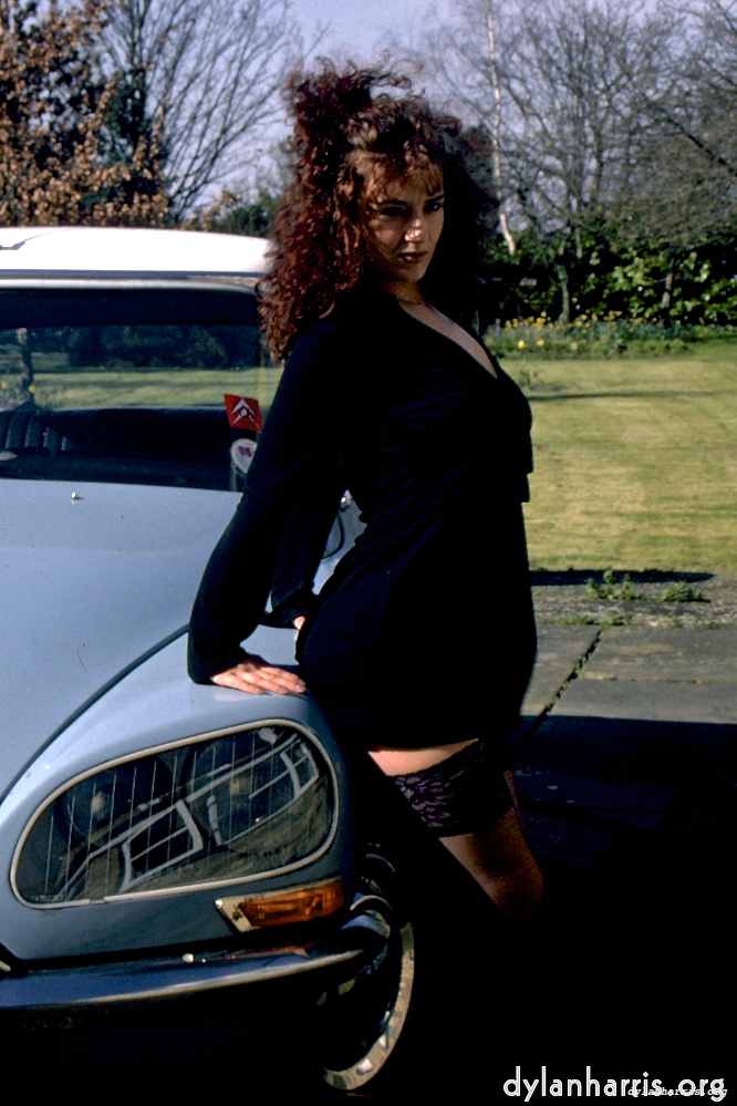 image: This is &lsquo;kerry (xii) 2&rsquo;.
