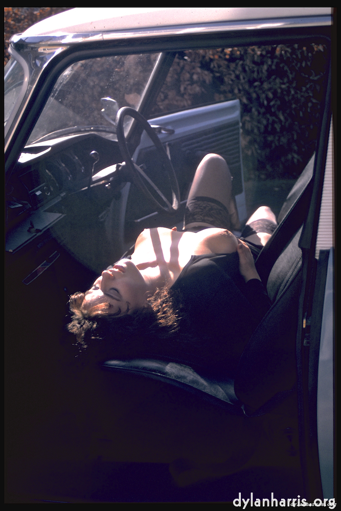 image: This is &lsquo;kerry (xiii) 4&rsquo;.