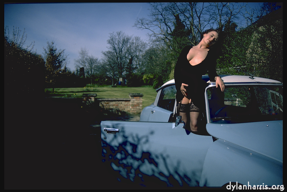 image: This is &lsquo;kerry (xiv) 3&rsquo;.