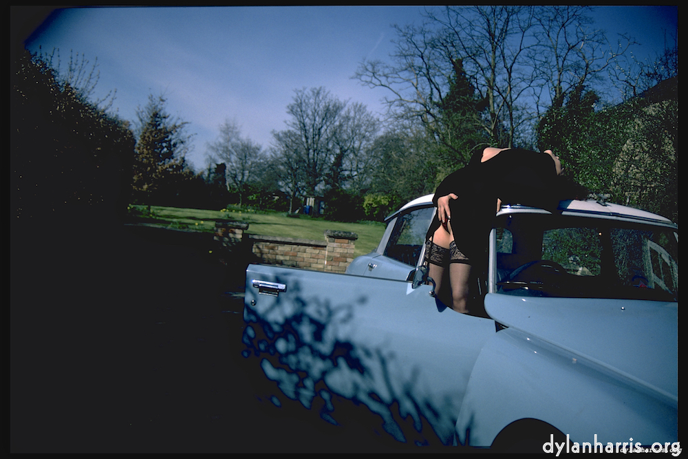 image: This is &lsquo;kerry (xiv) 5&rsquo;.