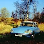 image: Image from the photoset &lsquo;citro&euml;n (ii)&rsquo;.