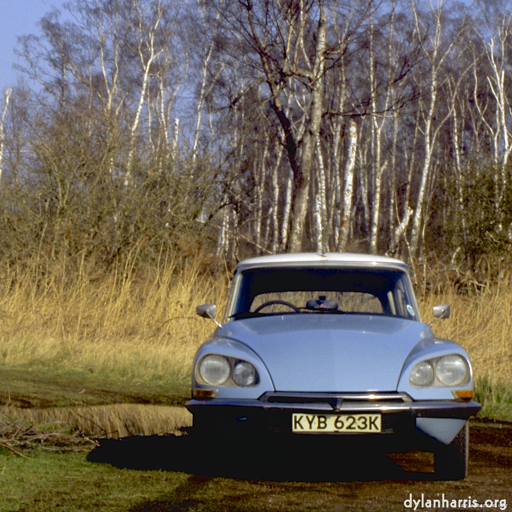 image: This is &lsquo;citro&euml;n (iii) 1&rsquo;.
