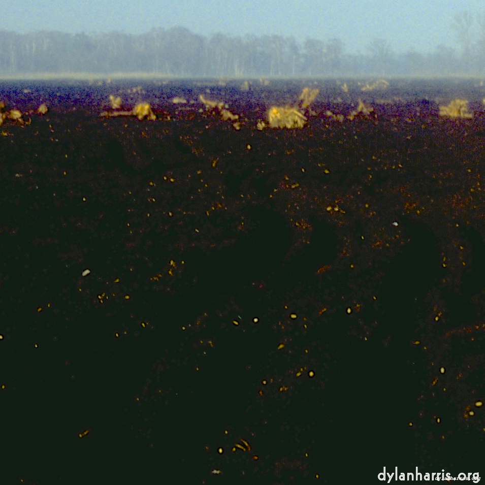 image: This is &lsquo;fen (iii) 2&rsquo;.