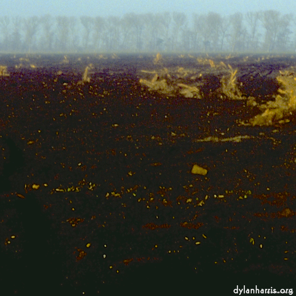 image: This is &lsquo;fen (iii) 3&rsquo;.