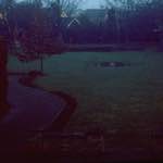image: Image from the photoset &lsquo;fen (iii)&rsquo;.