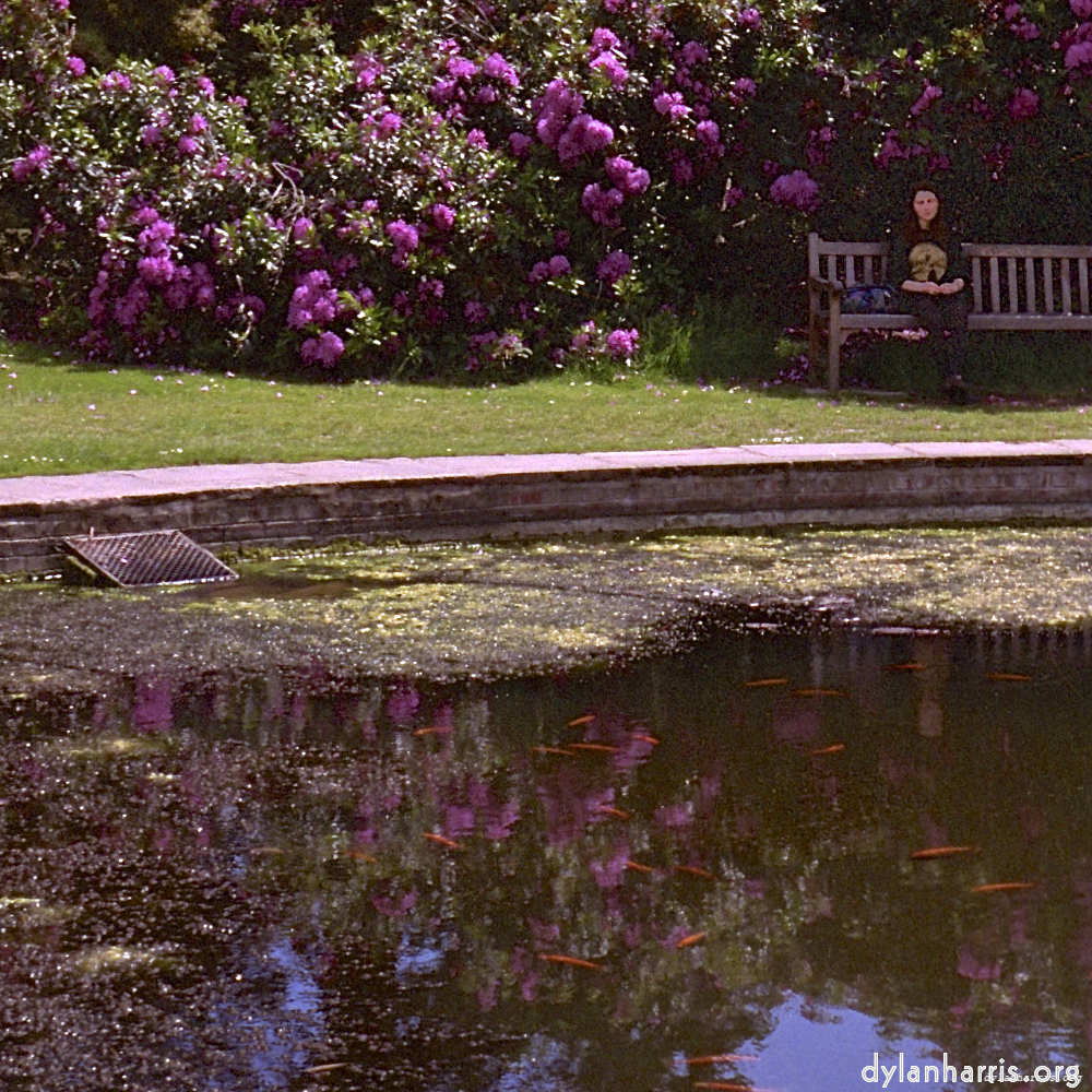 image: This is &lsquo;yorkshire (ii) 4&rsquo;.