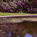 image: Image from the photoset &lsquo;yorkshire (ii)&rsquo;.