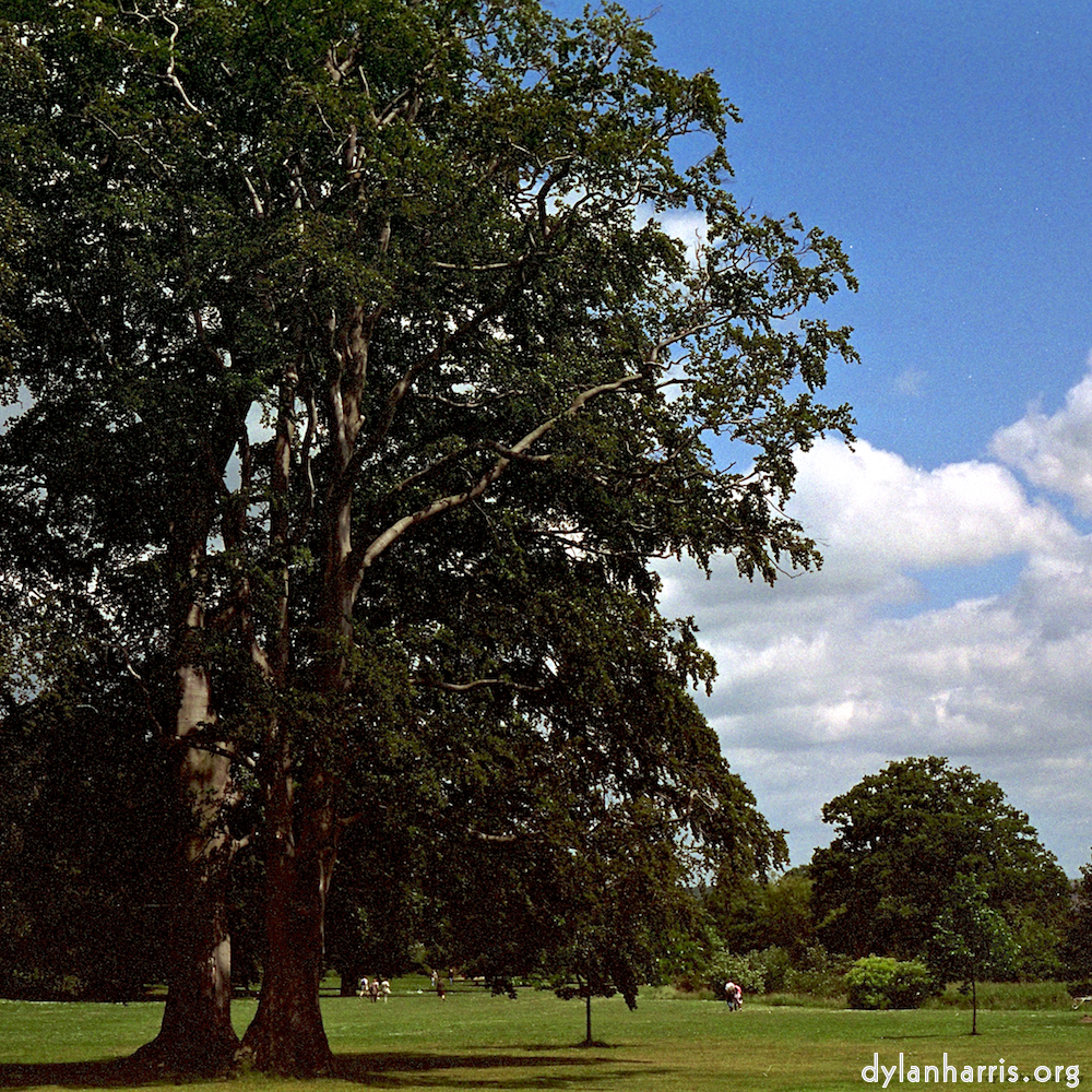 image: This is &lsquo;yorkshire (iii) 1&rsquo;.