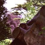image: Image from the photoset &lsquo;yorkshire (iii)&rsquo;.