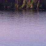image: Image from the photoset &lsquo;highlands (i)&rsquo;.