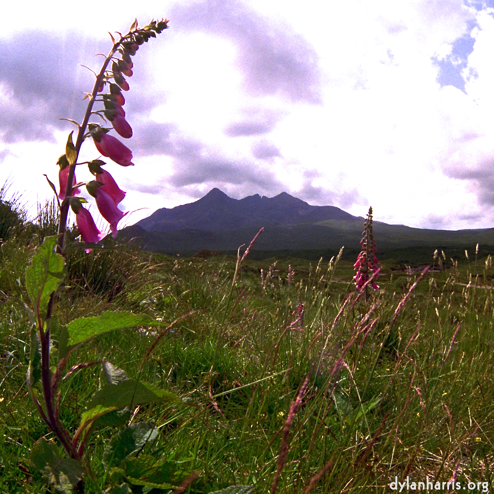 image: This is &lsquo;highlands (iv) 6&rsquo;.