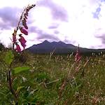 image: Image from the photoset &lsquo;highlands (iv)&rsquo;.