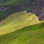 image: Image from the photoset &lsquo;highlands (vii)&rsquo;.