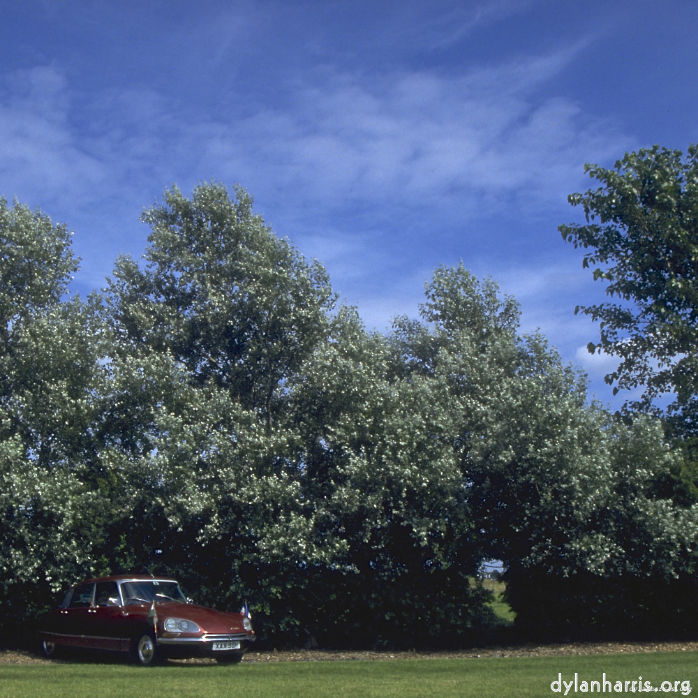 image: This is &lsquo;citro&euml;n (iv) 1&rsquo;.