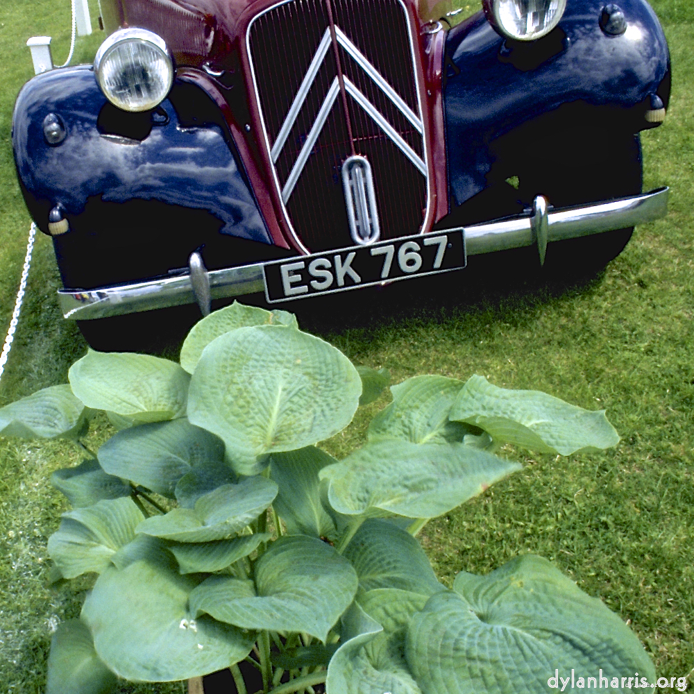 image: This is &lsquo;citro&euml;n (vii) 6&rsquo;.