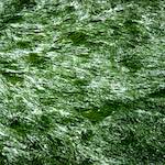 image: Image from the photoset &lsquo;untitled (xxi)&rsquo;.