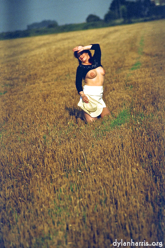 image: This is &lsquo;kerry (xvii) 2&rsquo;.