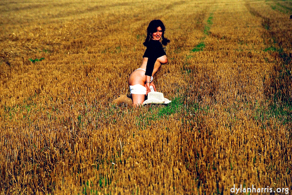 image: This is &lsquo;kerry (xviii) 1&rsquo;.
