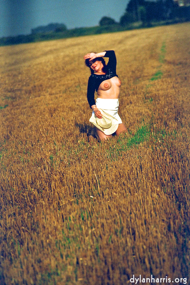 image: This is &lsquo;kerry (xix) 4&rsquo;.