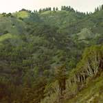image: Image from the photoset &lsquo;highway one&rsquo;.