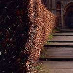 image: Image from the photoset &lsquo;raunds (i)&rsquo;.