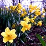 image: Image from the photoset &lsquo;raunds (i)&rsquo;.