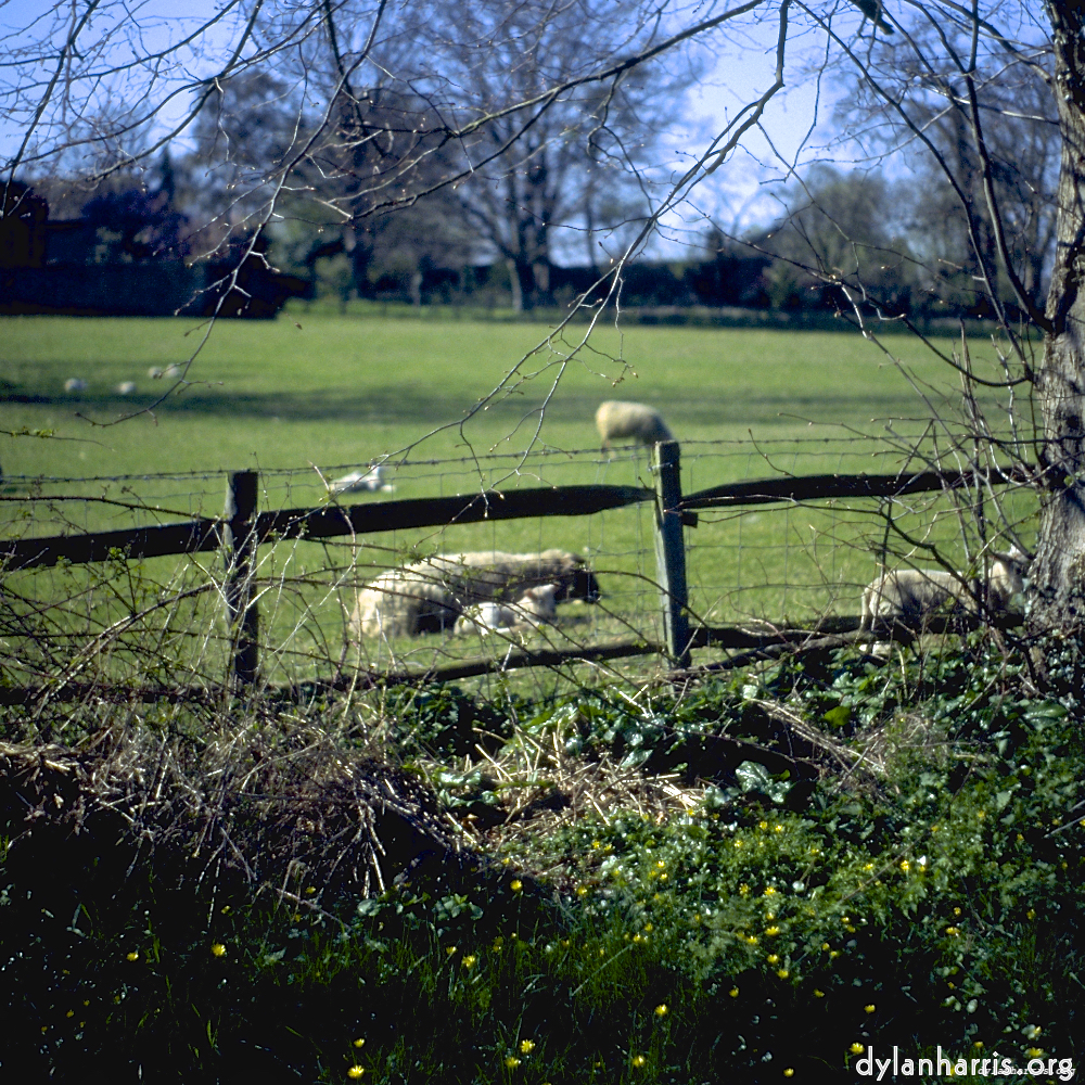 image: This is &lsquo;barnwell (ii) 1&rsquo;.