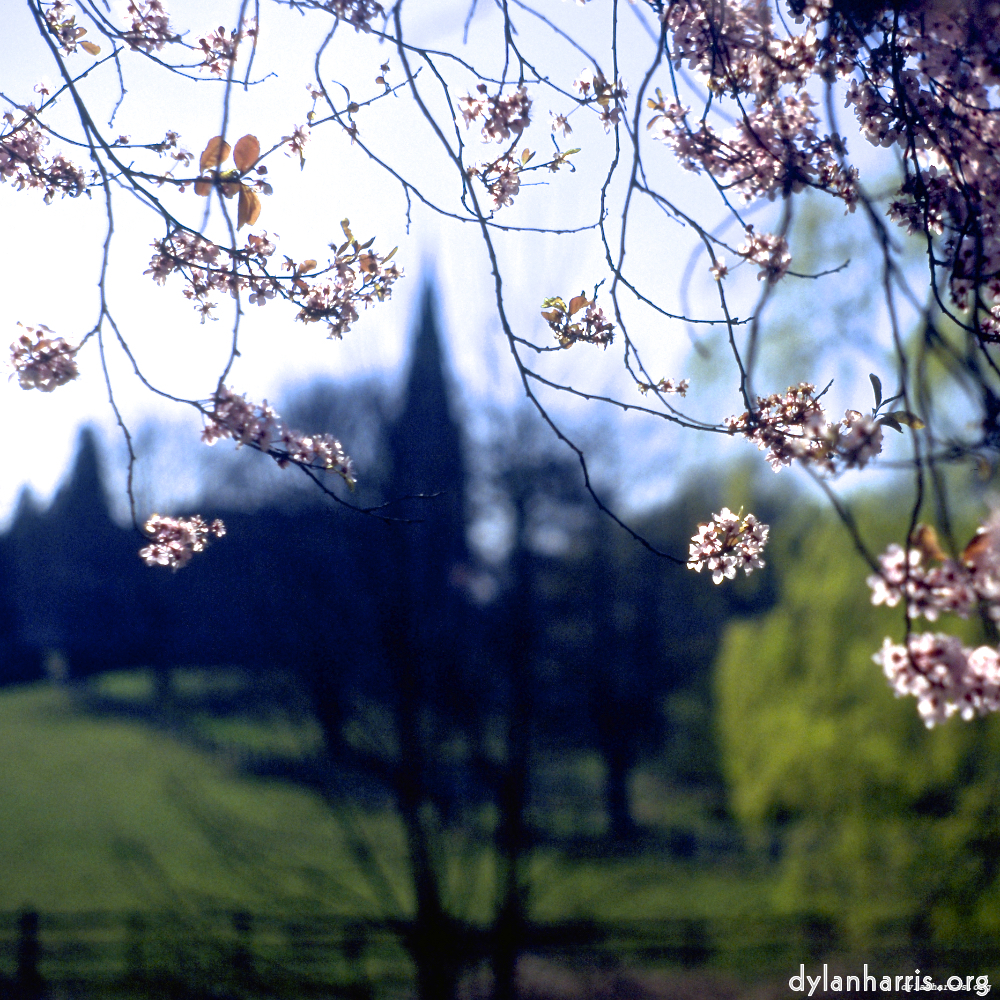 image: an image