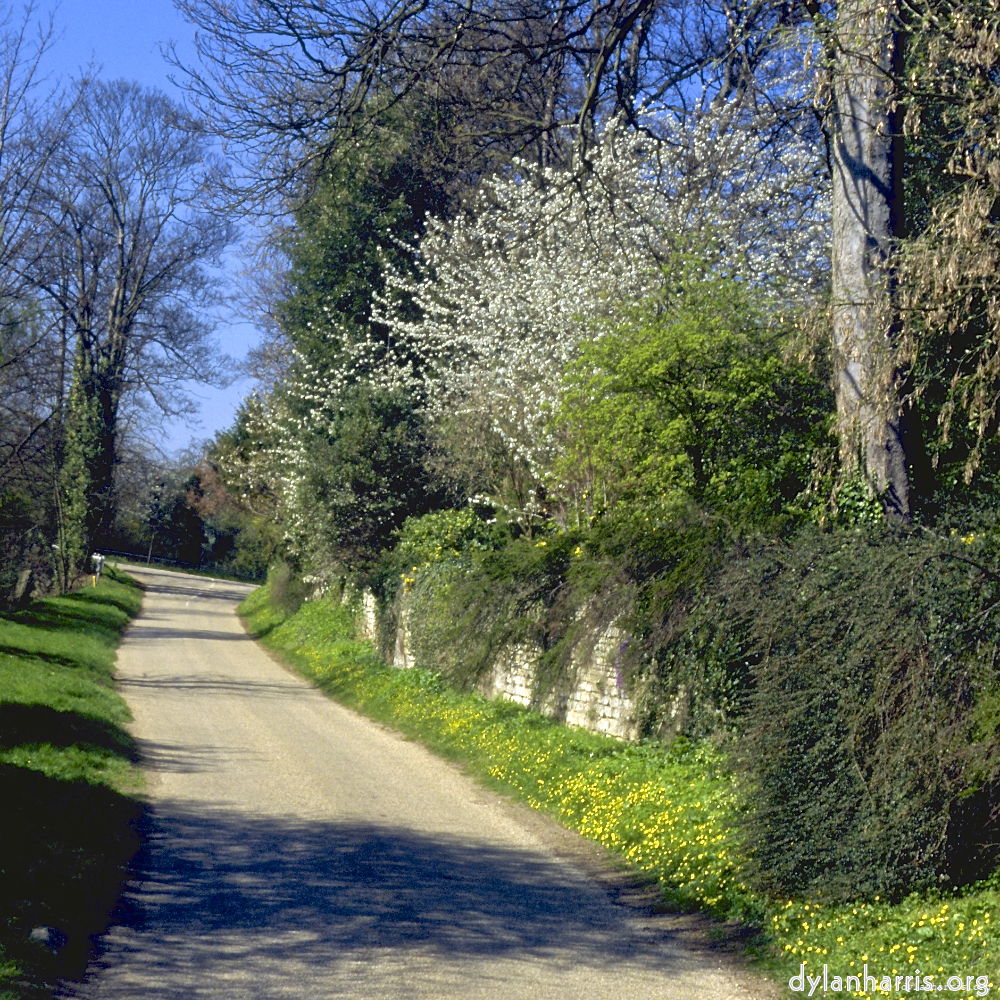 image: This is &lsquo;barnwell (ii) 7&rsquo;.