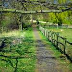 image: Image from the photoset &lsquo;barnwell (ii)&rsquo;.
