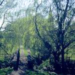 image: Image from the photoset &lsquo;barnwell (ii)&rsquo;.