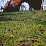 image: Image from the photoset &lsquo;yorkshire (v)&rsquo;.