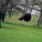 image: Image from the photoset &lsquo;yorkshire (v)&rsquo;.