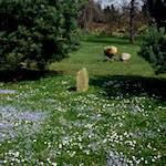image: Image from the photoset &lsquo;yorkshire (v)&rsquo;.