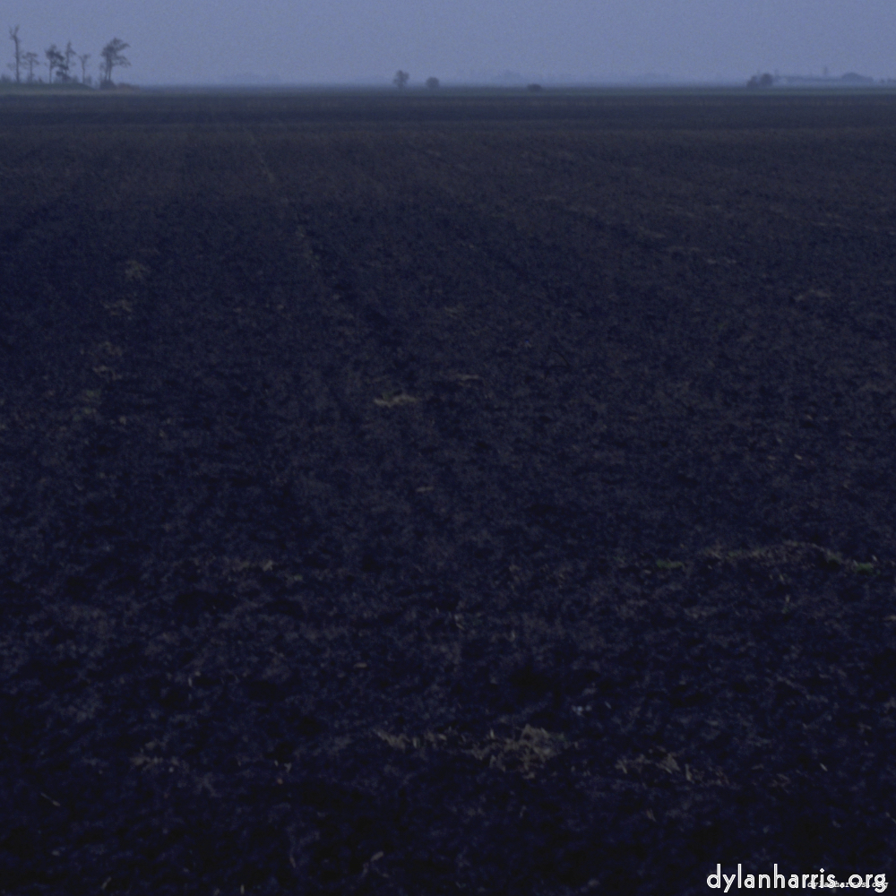 image: This is &lsquo;fen (i) 1&rsquo;.