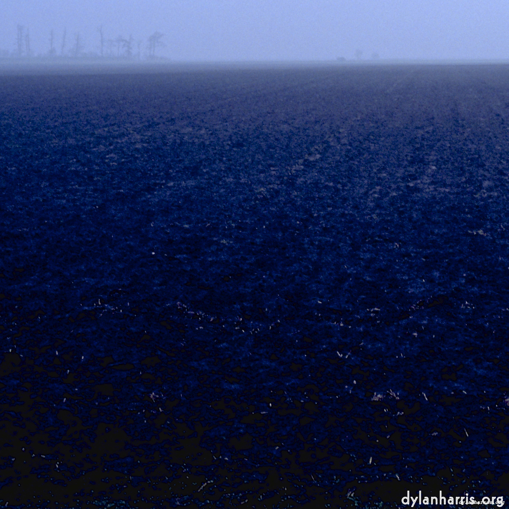 Image 'fen (i) 3'.