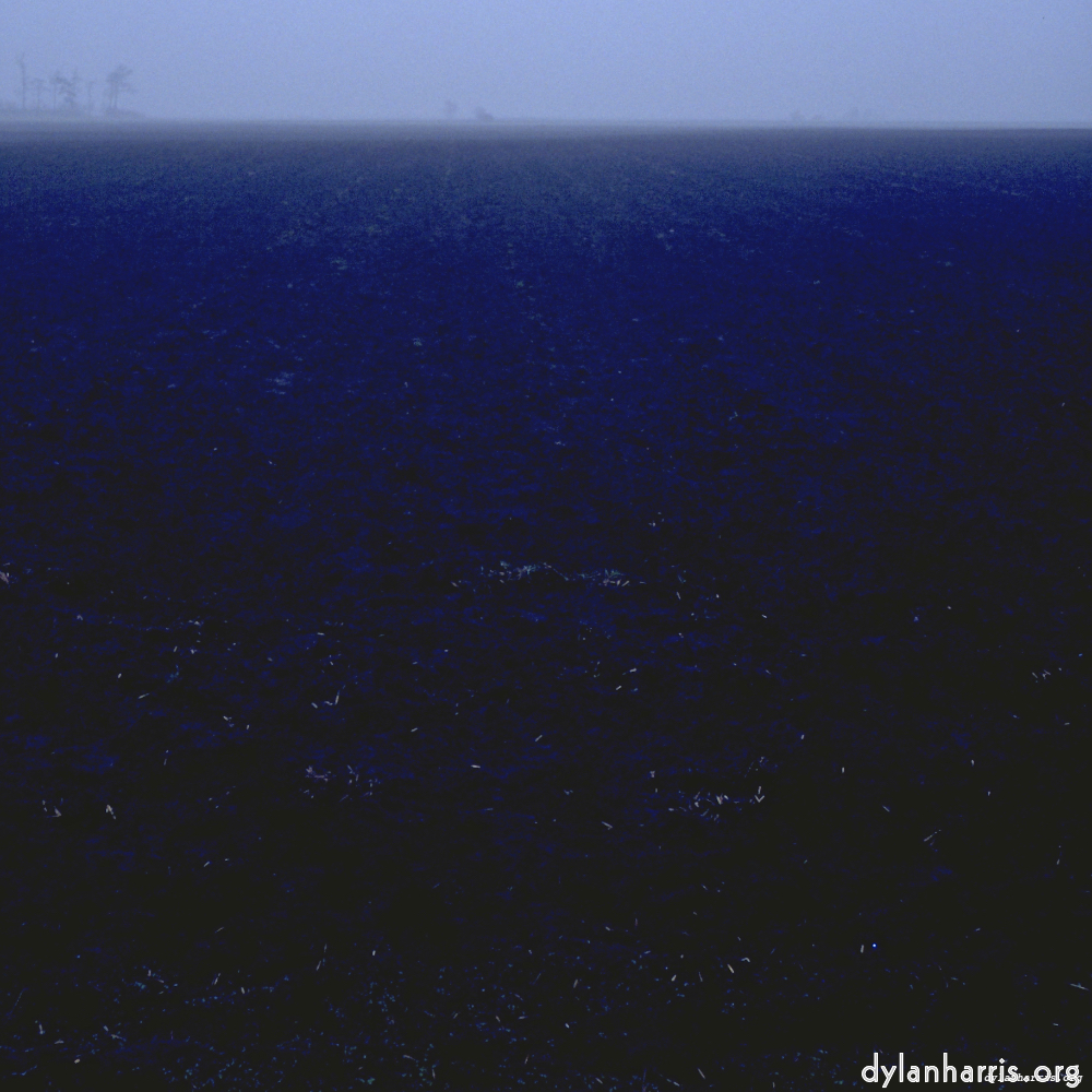 image: This is &lsquo;fen (i) 6&rsquo;.
