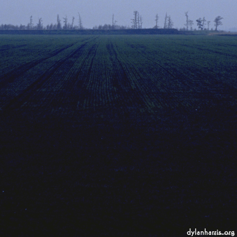 image: This is &lsquo;fen (i) 7&rsquo;.