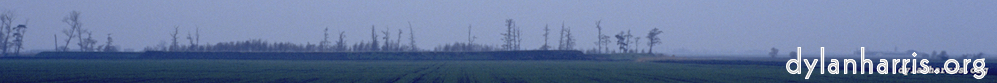 image: This is &lsquo;fen (ii) 2&rsquo;.