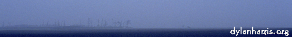 image: This is &lsquo;fen (ii) 4&rsquo;.