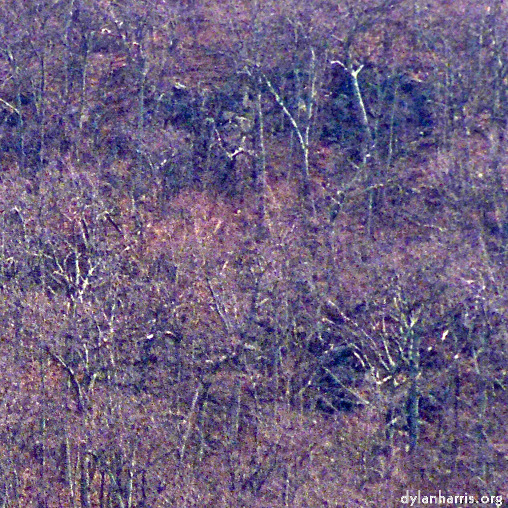 image: This is &lsquo;wood (ix) 2&rsquo;.
